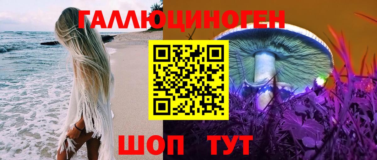Горно-Алтайск  Галлюциногенные грибы GOLDEN TEACHER  Галлюциногенные грибы мухоморы  Вход с VPN 